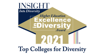 Insight into Diversity logo. 2021 year award